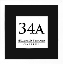 34A vit ram