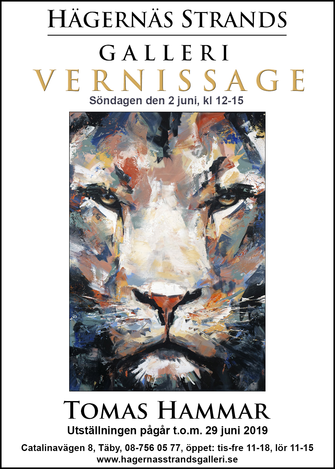 vernissage_tomas_hammar_2juni2019